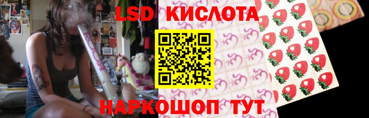 Сунжа  ЛСД экстази  Вход с VPN  Лсд 25 экстази кислота 