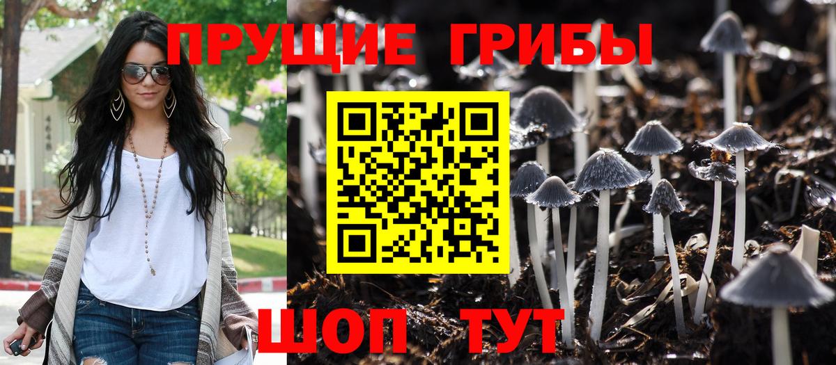 Галлюциногенные грибы Cubensis Сунжа
