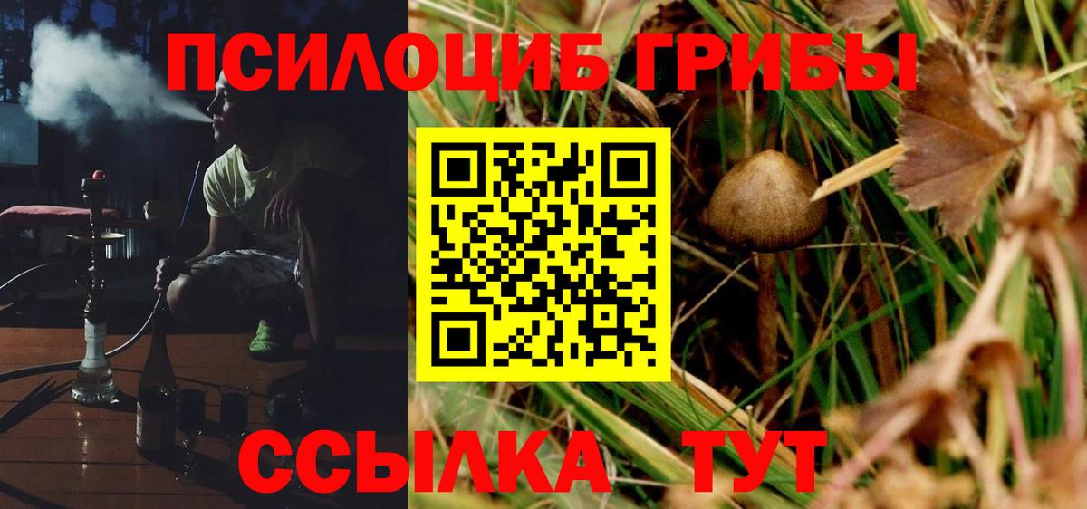 Галлюциногенные грибы MAGIC MUSHROOMS  Псилоцибиновые грибы Psilocybine cubensis  Вход с VPN  Сунжа 