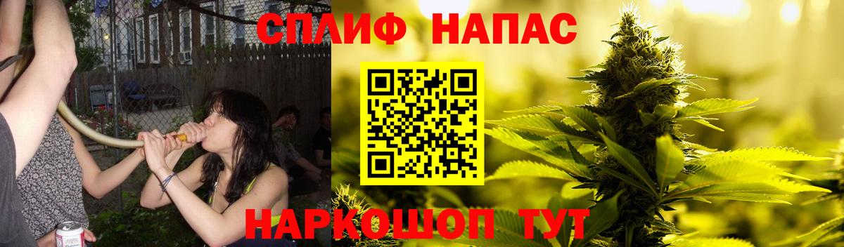 Канабис семена  Канабис Bruce Banner  Вход с VPN  Сунжа  МАРИХУАНА индика 
